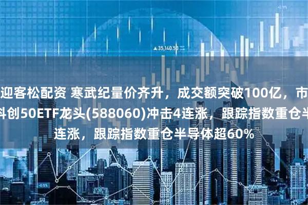 迎客松配资 寒武纪量价齐升，成交额突破100亿，市值创新高！科创50ETF龙头(588060)冲击4连涨，跟踪指数重仓半导体超60%
