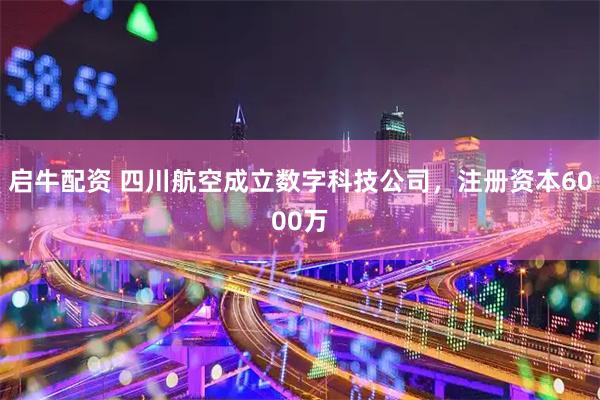 启牛配资 四川航空成立数字科技公司，注册资本6000万