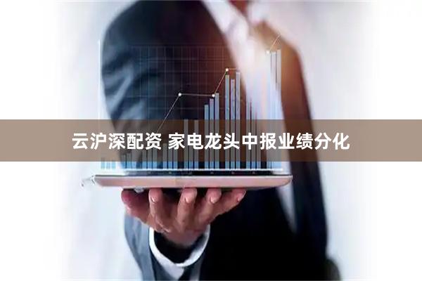 云沪深配资 家电龙头中报业绩分化