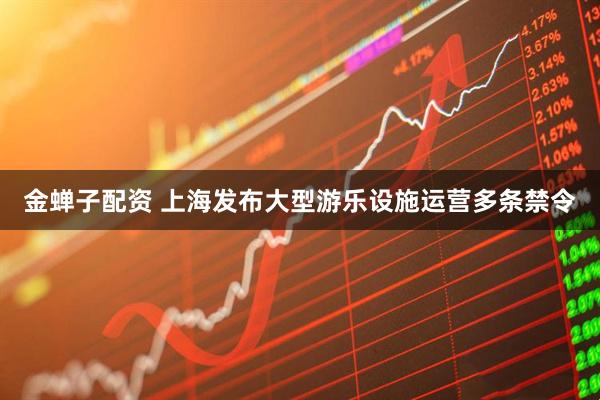 金蝉子配资 上海发布大型游乐设施运营多条禁令